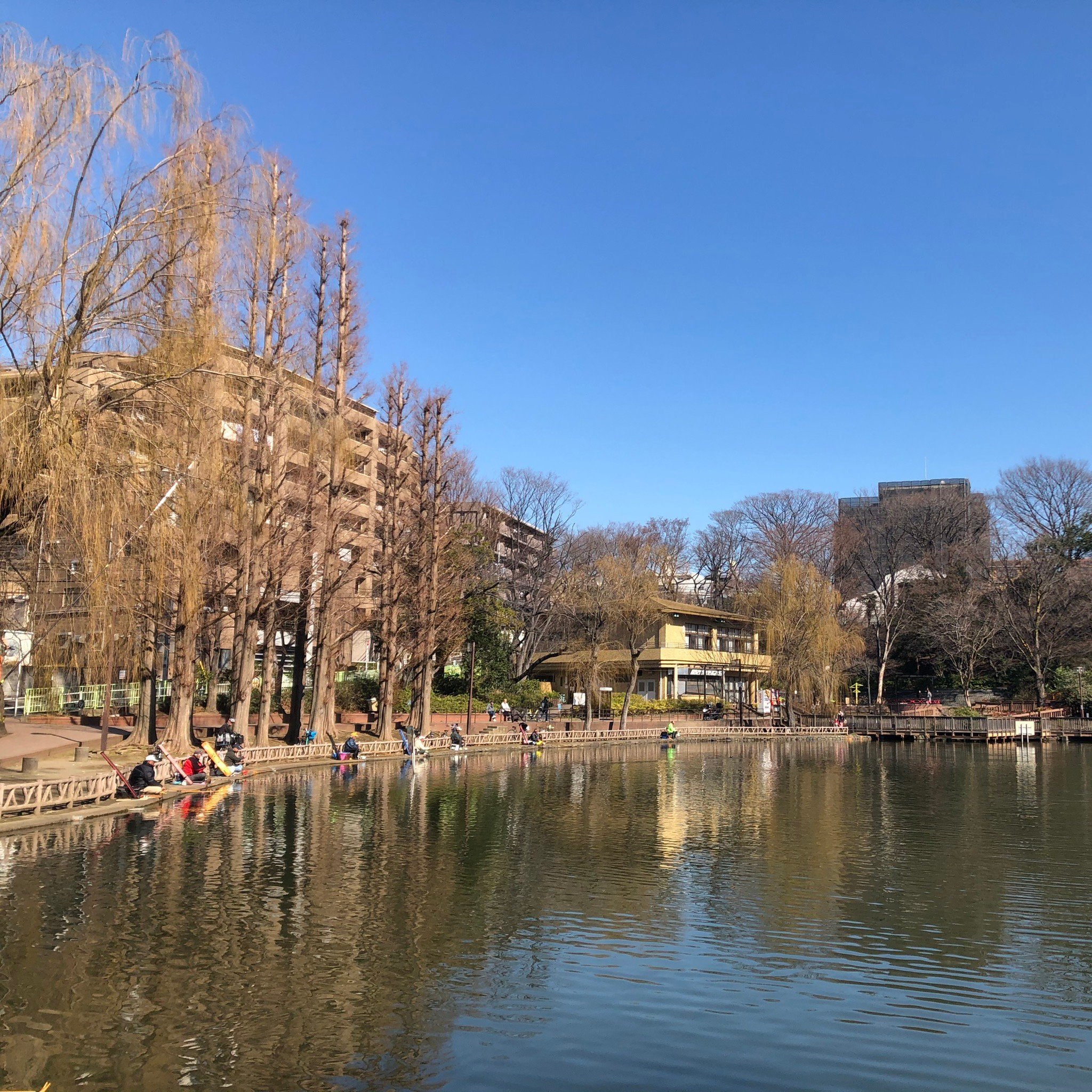 🏞️ 미츠기 공원 (見次公園) 이미지 8